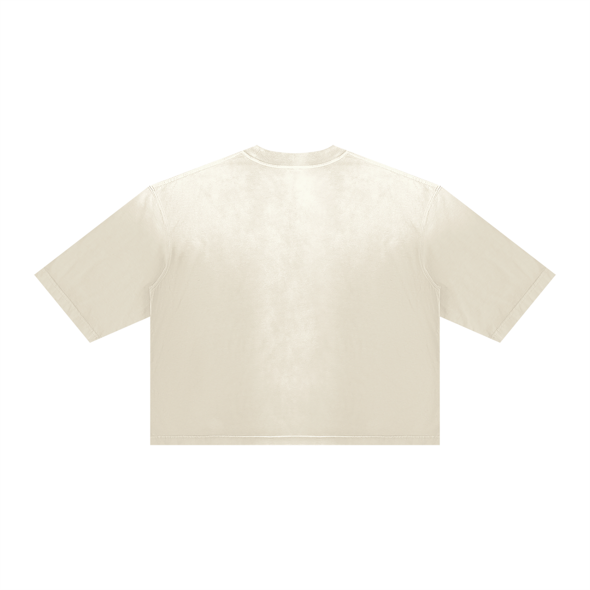 DAFFODIL LOGO VINTAGE WASH SUNFADE BOXY T-SHIRT