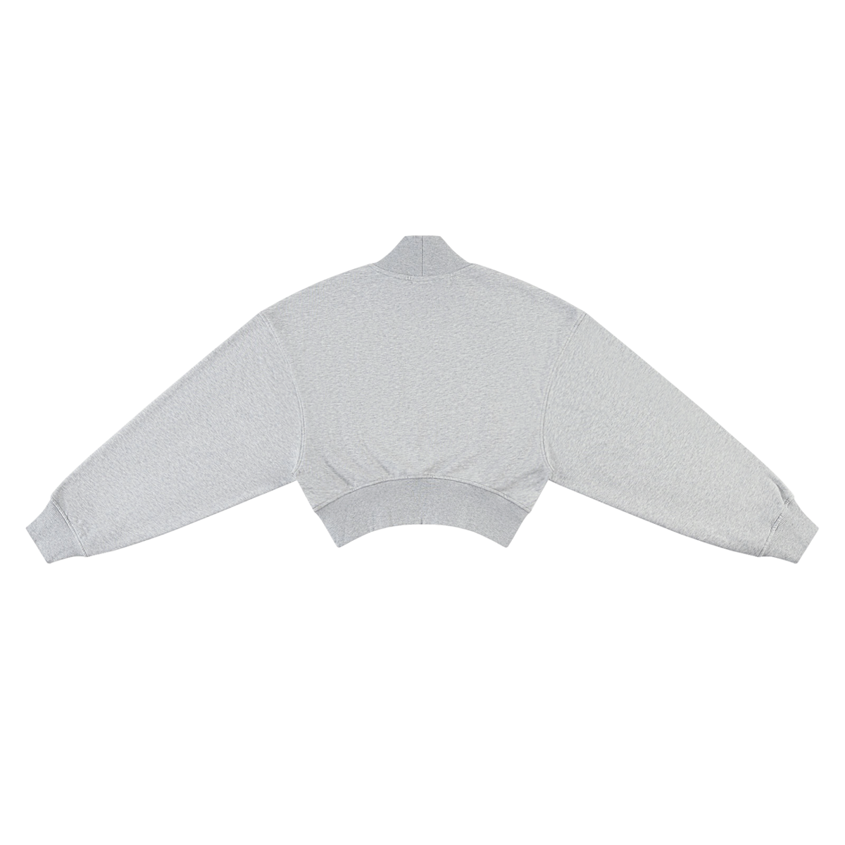 VARISTY LOGO CROP MOCK NECK SWEATSHIRT