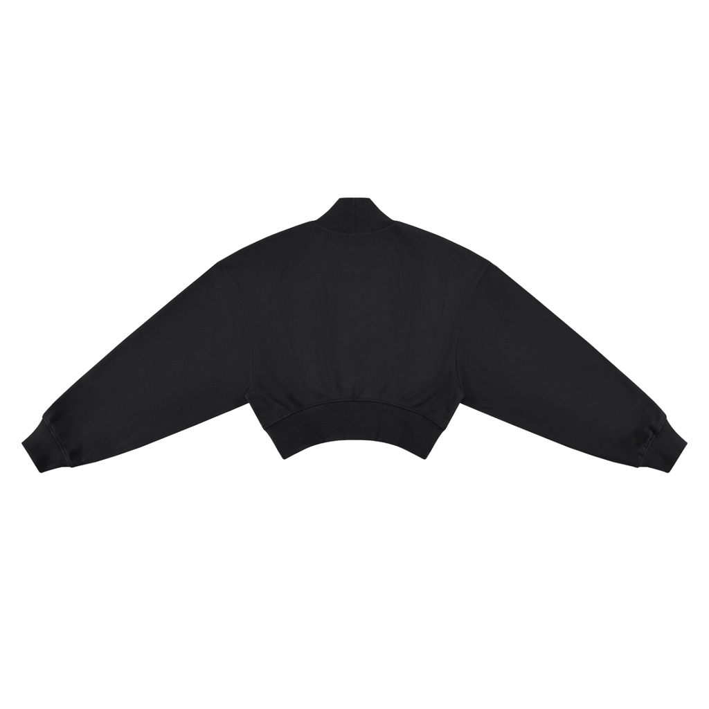 VARISTY LOGO CROP MOCK NECK SWEATSHIRT
