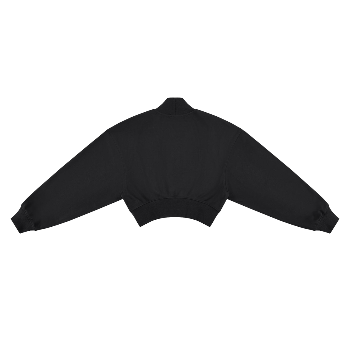 VARISTY LOGO CROP MOCK NECK SWEATSHIRT