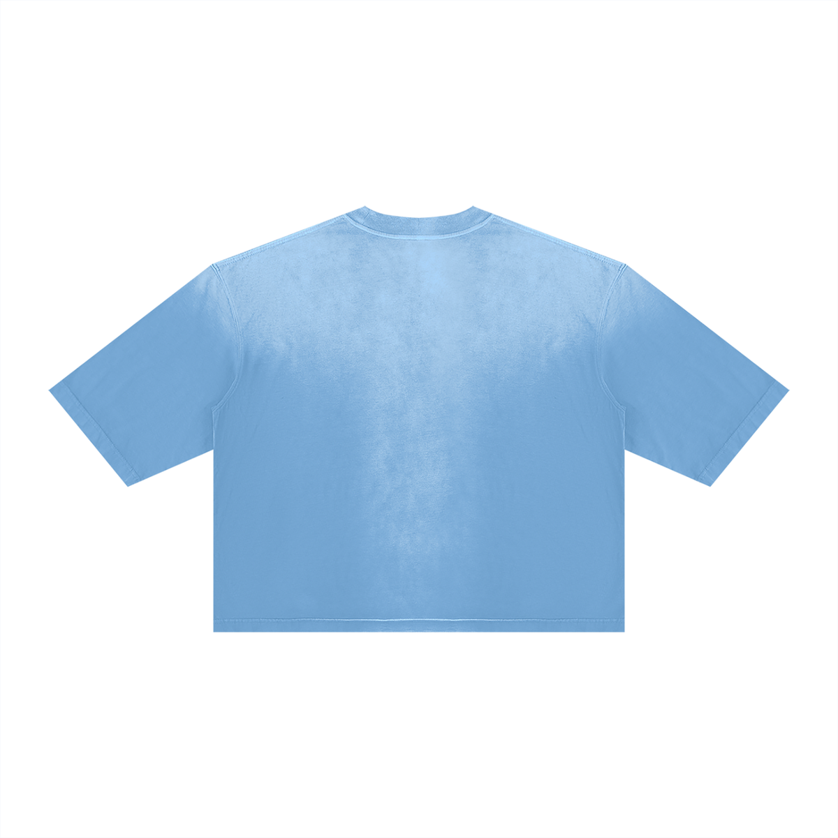 DAFFODIL LOGO VINTAGE WASH SUNFADE BOXY T-SHIRT
